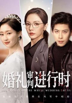 《婚礼审判进行时》