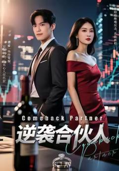 逆袭合伙人