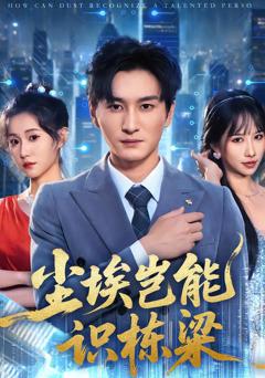 尘埃岂能识栋梁