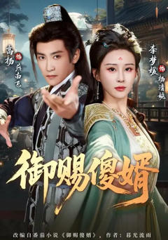 《御赐傻婿》
