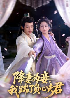 《降妻为妾，我踹了负心夫君》