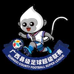 广西县级足球超级联赛 钦州市灵山县队1-2防城港市东兴市队20260301