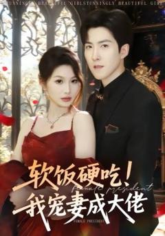 软饭硬吃！我宠妻成大佬