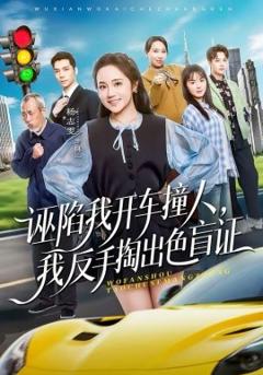 诬陷我开车撞人，我反手掏出色盲证