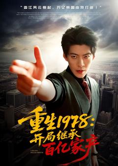 重生1978：开局继承百亿家产