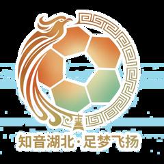 湖北省城市足球联赛 天门队VS鄂州临空队20260418