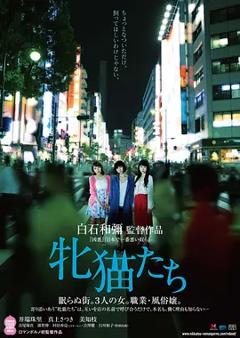 雌猫们[电影解说]