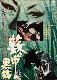 黑猫1968[电影解说]