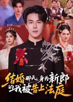 《结婚那天，身为新郎的我被告上法庭》